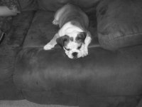 20130807_205024.jpg
