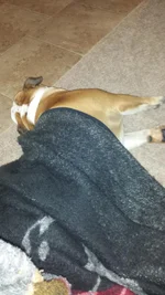 20130908_183755.webp