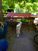 IMG_2303.webp