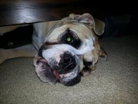 20130708_201227.jpg