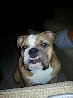 smile.webp