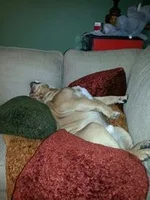 tipped over.webp