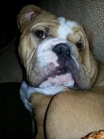 Sitting up.webp