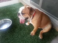20120824_185214_Fav.webp