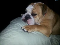 20130223_205001_Fav.webp