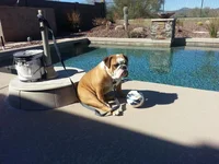 20130225_144716_Fav.webp