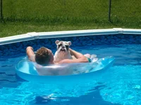 Picture 008.webp