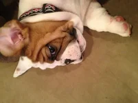photo1.webp