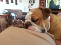 20130622_082941_Fav.webp