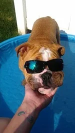 Pooling it up.webp