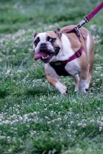 Ellie Mae 1 - Copy.webp