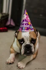 Ellie Mae 4.webp