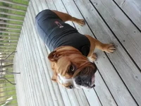 20130808_195154.webp