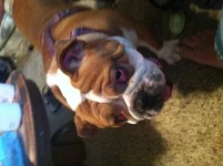 Buster 4.webp