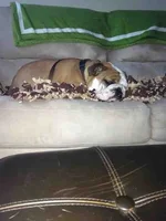 ImageUploadedByTapatalk1374459849.158473.webp
