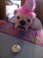 tilsbirthday.jpg tilsbirthday.jpg