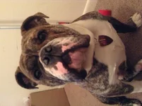 image.webp