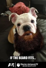 beard2.webp