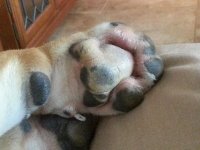 20130721_181840.jpg 20130721_181840.jpg