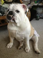 chloe1.webp