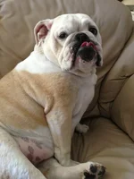 chloe2.webp