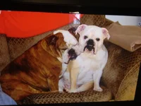 chloe3.webp