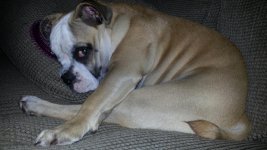 20130906_215347.jpg