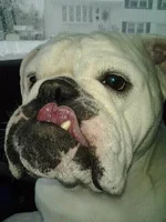 chloe5.webp