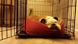 2013-05-20 22.01.29.webp