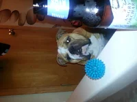 20130912_211745.webp