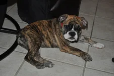 DSC_0032.webp