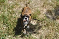 DSC_0044.webp