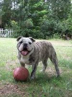 IMG_0653.webp