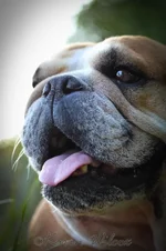 5209345288_de3916f2c7_o.webp