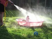 Harlea Pool.webp