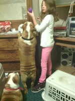 wrinkl.webp