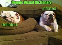 inflated_deflated.webp