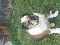 20130712_184458.webp