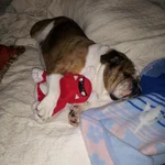 IMG_20130617_073502.webp