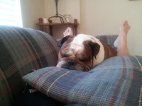 20130605_190357.webp