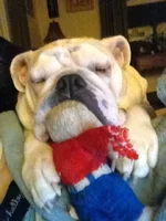 IMG_4943.webp