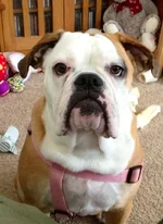 photo (5).webp