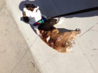 IMG_3369.jpg IMG_3369.jpg
