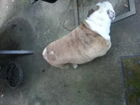 20130913_180955.webp