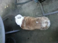 20130913_180941.webp