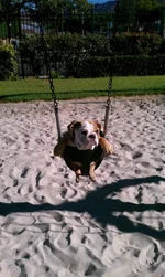 IMAG0221.webp
