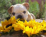 8x10 toots.webp