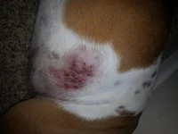 20130724_133528.webp