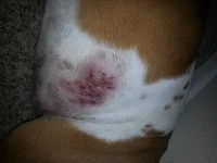20130724_133531.webp