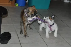 DSC_0002.webp